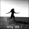 198613.gif