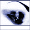 451282.gif