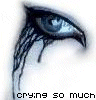 562621.gif