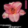 636092.gif